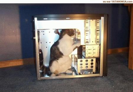 voila ce qu'il a vraiment dans votre pc